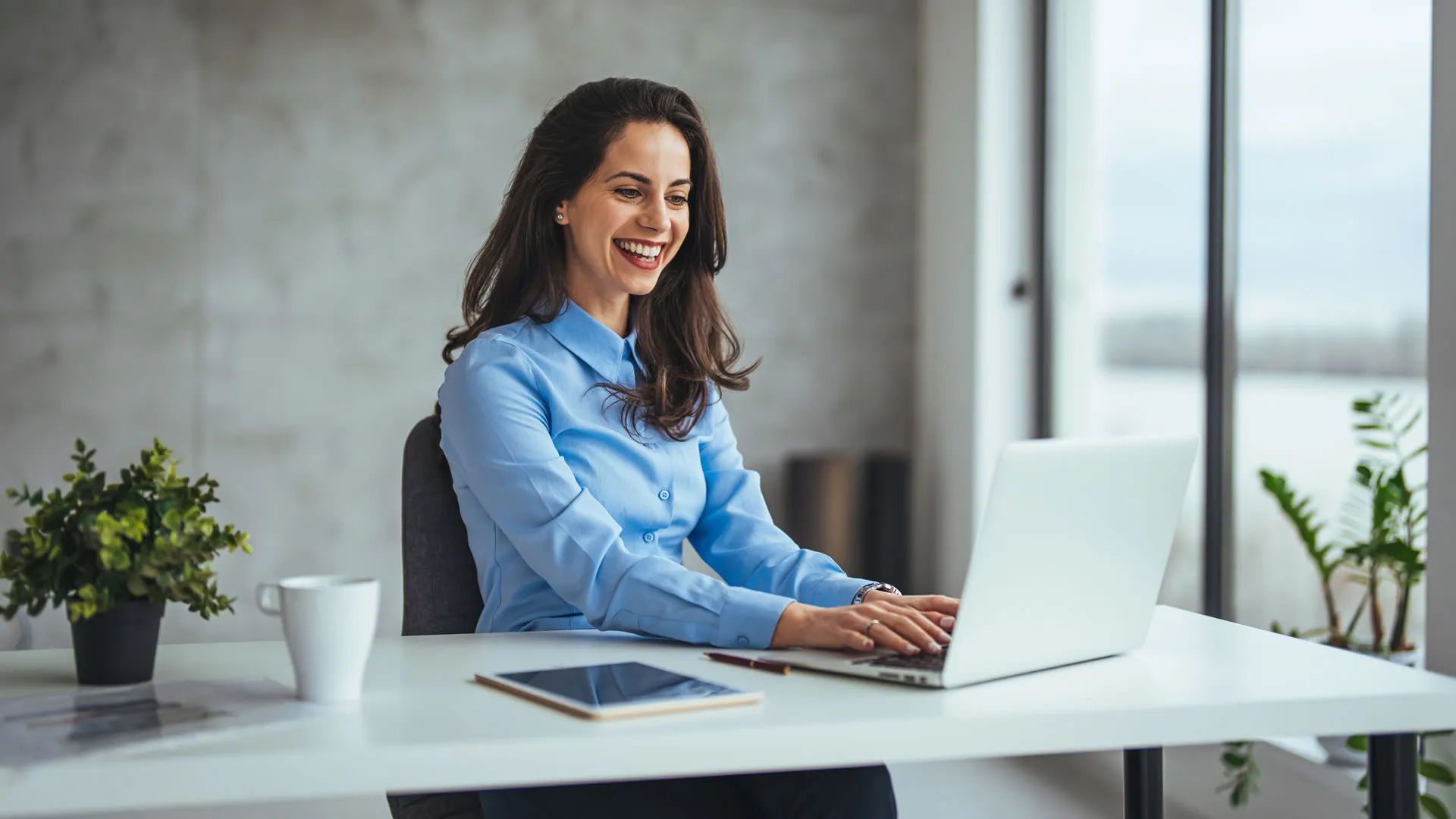 5. Apresentação e Treinamento